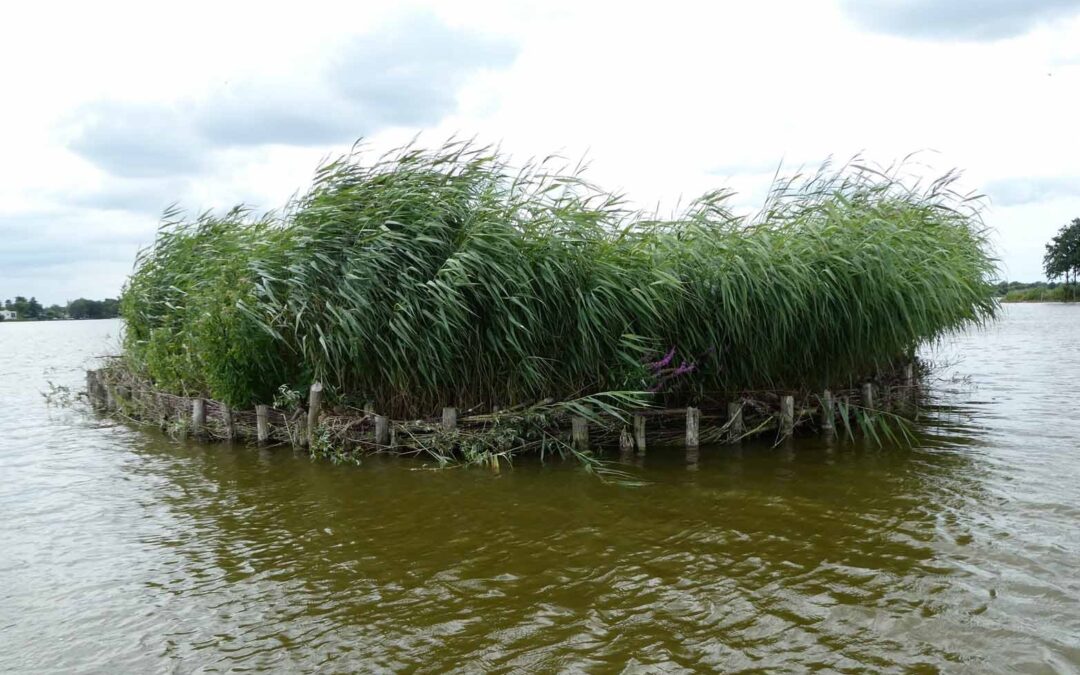 Lancering Stimuleringsregeling Reeuwijkse Plassen